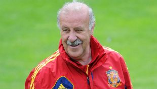 Vicente Del Bosque is hoping to defend Spain's crown